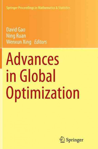 Advances in Global Optimization