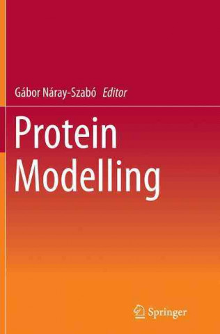 Protein Modelling