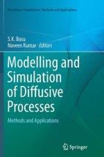 Modelling and Simulation of Diffusive Processes