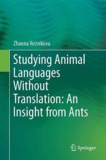 Studying Animal Languages Without Translation: An Insight from Ants
