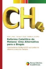 Reforma Catalítica do Metano: Uma Alternativa para o Biogás