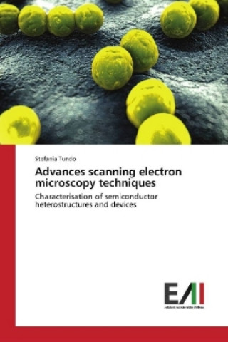 Advances scanning electron microscopy techniques