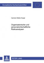Organisatorische Und Personalwirtschaftliche Risikoanalysen