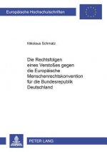 Rechtsfolgen Eines Verstosses Gegen Die Europaeische Menschenrechtskonvention Fuer Die Bundesrepublik Deutschland