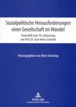 Sozialpolitische Herausforderungen Einer Gesellschaft Im Wandel