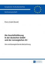 Geschaeftsfuehrung in Der Deutschen Gmbh Und Der Norwegischen as