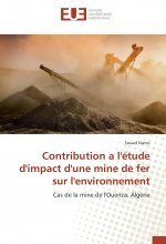 Contribution a l'étude d'impact d'une mine de fer sur l'environnement