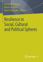 Resilience in Social, Cultural and Political Spheres