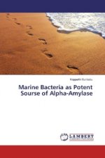 Marine Bacteria as Potent Sourse of Alpha-Amylase