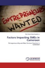 Factors Impacting SMEs in Cameroon