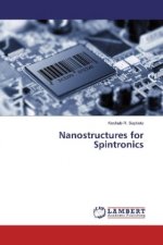 Nanostructures for Spintronics