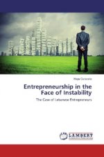 Entrepreneurship in the Face of Instability