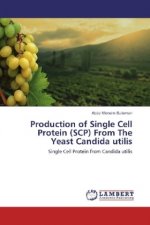Production of Single Cell Protein (SCP) From The Yeast Candida utilis