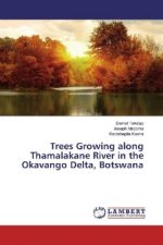 Trees Growing along Thamalakane River in the Okavango Delta, Botswana