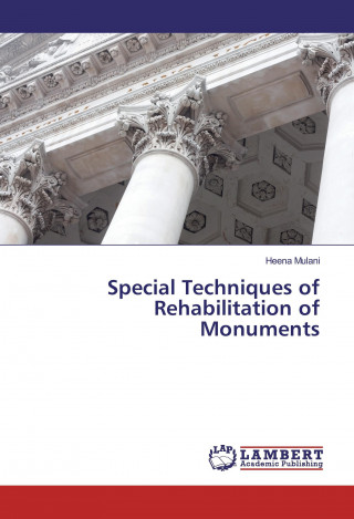 Special Techniques of Rehabilitation of Monuments