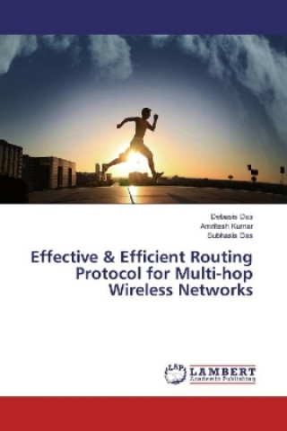 Effective & Efficient Routing Protocol for Multi-hop Wireless Networks