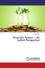 Financial System - An Indian Perspective