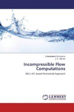 Incompressible Flow Computations
