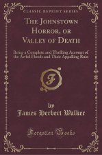 The Johnstown Horror, or Valley of Death