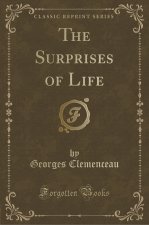 The Surprises of Life (Classic Reprint)