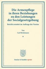 Die Armenpflege in ihren Beziehungen zu den Leistungen der Socialgesetzgebung.