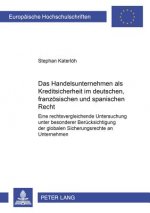 Das Handelsunternehmen ALS Kreditsicherheit Im Deutschen, Franzoesischen Und Spanischen Recht