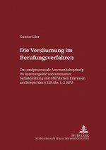 Versaeumung Im Berufungsverfahren