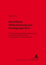 Betriebliche Mitbestimmung Und Kuendigungsschutz
