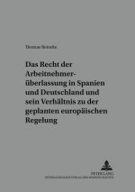 Recht Der Arbeitnehmerueberlassung in Spanien Und Deutschland Und Sein Verhaeltnis Zu Der Geplanten Europaeischen Regelung