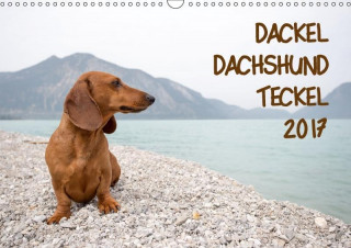 DACKEL DACHSHUND TECKEL 2017 (Wandkalender 2017 DIN A3 quer)