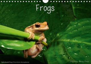 Frogs / UK-Version (Wall Calendar 2017 DIN A4 Landscape)