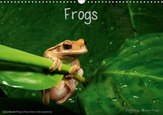 Frogs / UK-Version (Wall Calendar 2017 DIN A3 Landscape)