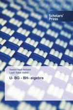U- BG - BH- algebra