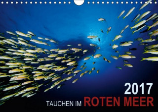 Tauchen im Roten Meer 2017 (Wandkalender 2017 DIN A4 quer)