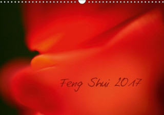 Feng Shui 2017 / Geburtstagskalender (Wandkalender 2017 DIN A3 quer)