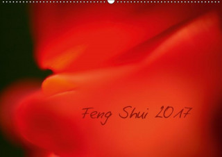 Feng Shui 2017 / Geburtstagskalender (Wandkalender 2017 DIN A2 quer)