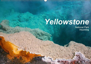 Yellowstone National Park Wyoming (Wandkalender 2017 DIN A2 quer)