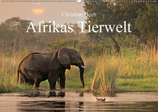 Afrikas Tierwelt Christian Heeb (Wandkalender 2017 DIN A2 quer)