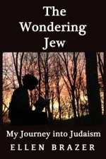 Wondering Jew My Journey Into Judaism