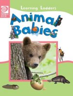 Animal Babies