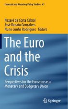 Euro and the Crisis