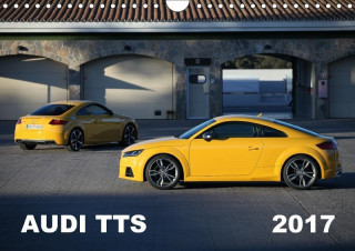 Audi TTS (Wandkalender 2017 DIN A4 quer)