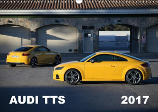 Audi TTS (Wandkalender 2017 DIN A3 quer)