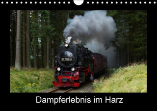 Dampferlebnis im Harz (Wandkalender 2017 DIN A4 quer)