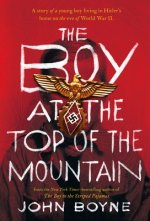 BOY AT THE TOP OF THE MOUNTAIN