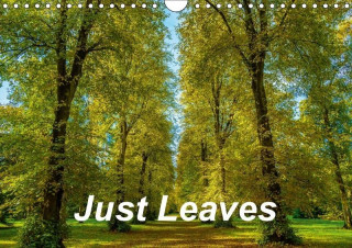 Just Leaves (Wall Calendar 2017 DIN A4 Landscape)