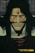 Bleach (3-in-1 Edition), Vol. 19