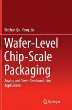 Wafer-Level Chip-Scale Packaging