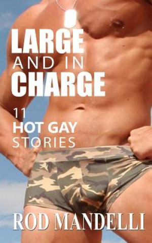 Large and in Charge 11 Hot Gay Stories