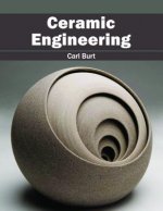 Ceramic Engineering